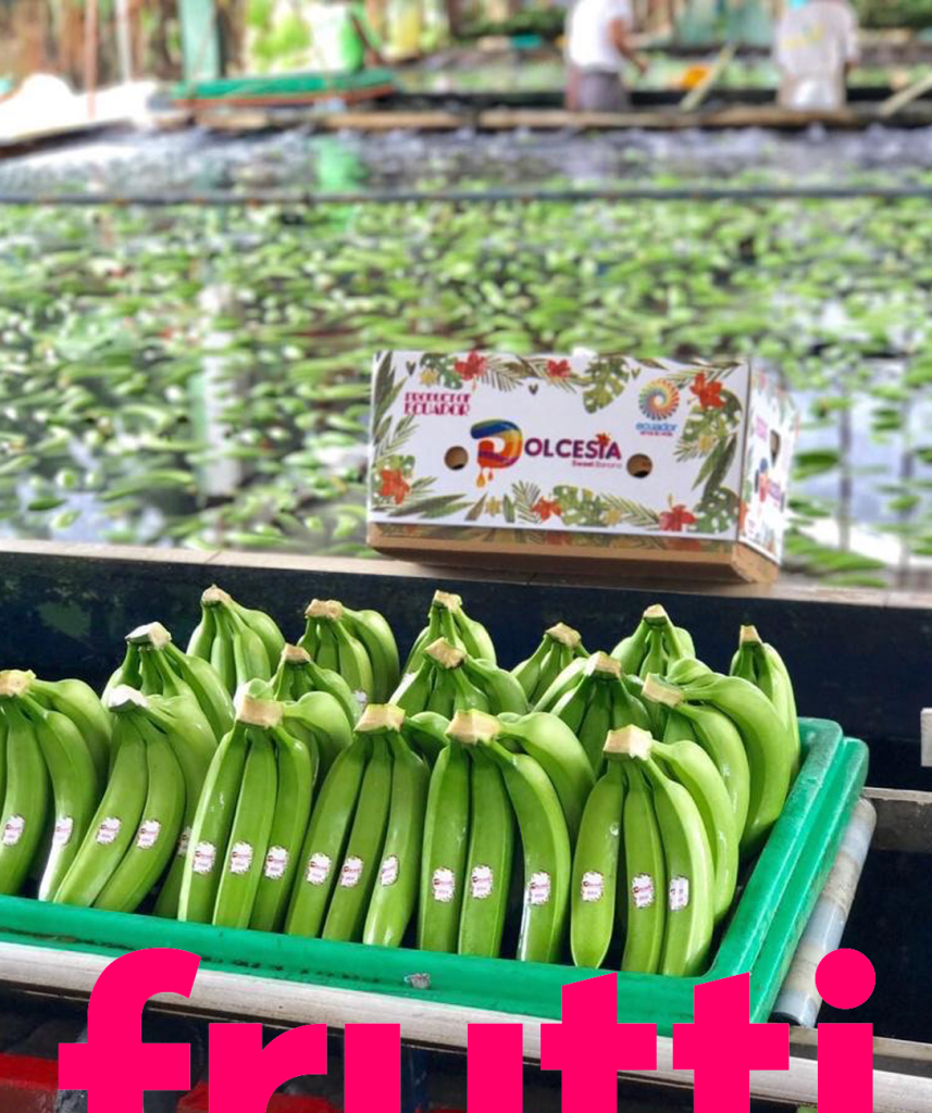 Station de Conditionnement